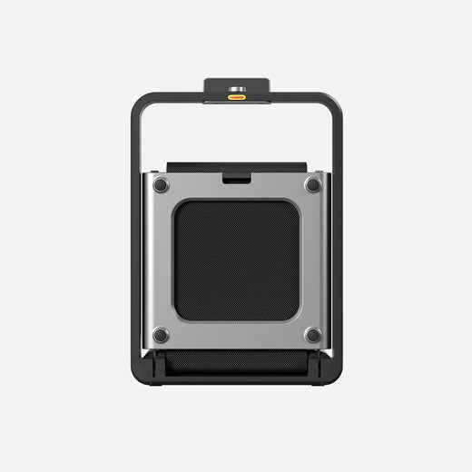 WalkingPad X21